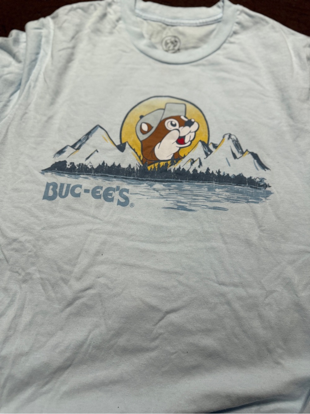 Light Blue Graphic Dog T-Shirt